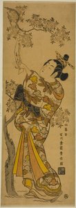 桜に結ばれた短冊を読む若い女性 作： Ishikawa Toyonobu