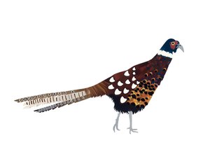 キジ、2013年（切り紙）
