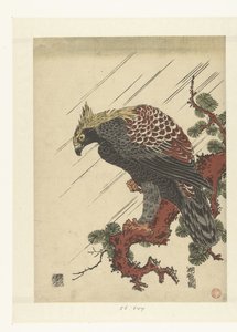 雨の中で松の枝にイーグル 作： Isoda Koryusai