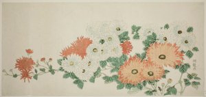 菊 作： Isoda Koryusai