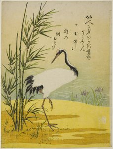 鶴竹菖蒲 作： Isoda Koryusai