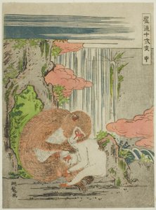 「おしゃれ十二支（ふりゅうじゅうにし）」シリーズより、猿（さる） 作： Isoda Koryusai