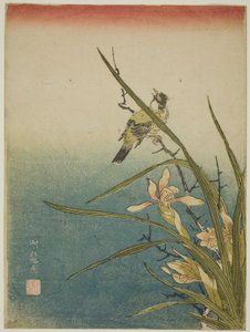 蘭と鳥 作： Isoda Koryusai