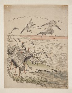 折り返しの鶴（カラー木版画 作： Isoda Koryusai