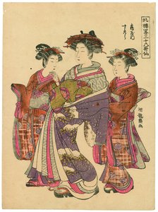 鶴屋の菅原 作： Is田流彩