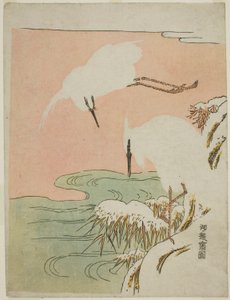雪の中の 2 つの白鷺 作： Isoda Koryusai
