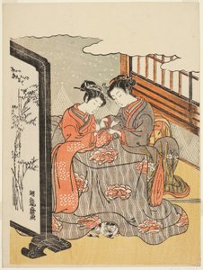 猫のゆりかごで遊ぶ二人の若い女性