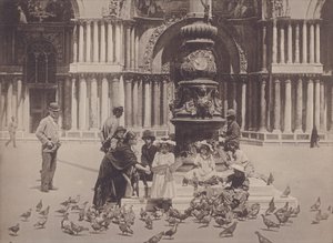 ハト（モノクロ写真 作： Italian Photographer