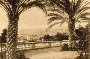 サンレモ、ヤシの木の間（モノクロ写真 作： Italian Photographer
