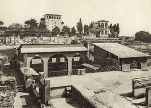 パラティーノ、リヴィアの家 作： Italian Photographer