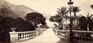 モナコ公国のモンテカルロ・カジノの庭園 作： Italian Photographer