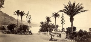 モナコ公国のモンテカルロ・カジノの庭園 作： Italian Photographer