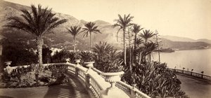 モナコ公国のモンテカルロ・カジノの庭園 作： Italian Photographer