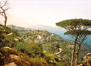 ナポリ湾を横切るベスビオの眺め、1890〜1900年 作： Italian Photographer