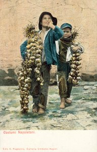 若いニンニクベンダー、ナポリ 作： Italian Photographer