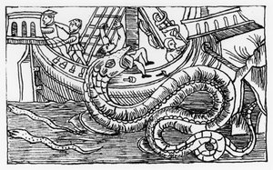 「北部の説明」からの海の蛇