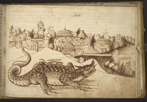 追加。 82955、f.243 クロコダイル (