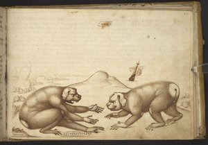 追加。 82955、f.244 戦っている犬のような生き物 (「Cinocephalus」)、Historia Animalium より 作： Italian School