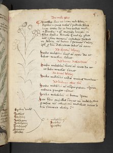 MS 41623 