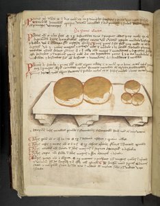 MS 41623 f.124v De Pane、「A herbal」、Belluno から追加 (ベラムにインクとカラー)