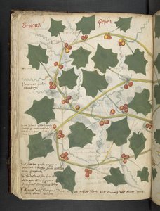 MS 41623 f.53v 
