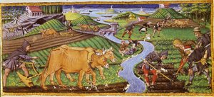 15世紀初頭の農業。 フィレンツェのリッカルディアーナ図書館。 作： Italian School