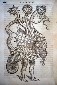 Alchimie: Monster Hybrid, in - 