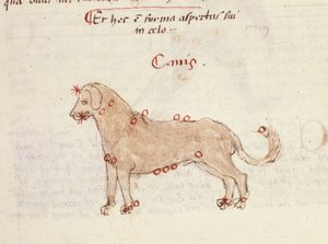 犬 (Canis) の星座。 Biasino da Parma (Blaise de Parma) (1425-1457) 作「アストロノミカ」のミニチュア 作： Italian School