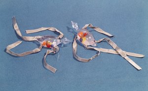 フィレンツェ科学史博物館からの2つの体温計のコピー（ガラスとリボン） 作： Italian School