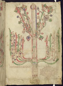 コーパスクリスティオックスフォードMS 255A f.11r新約聖書の聖書の人物の系図を描いたツリー