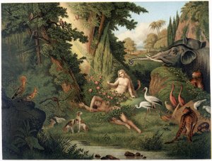 Aurea Bibbia classica: storia della rivelazione divina nell