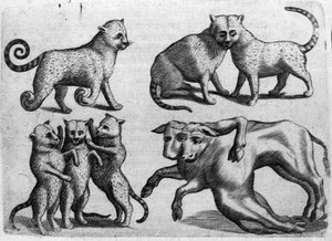 複数の体を持つ猫や牛など、さまざまなタイプのモンスターたち。イタリアの科学者Fortunio Liceti(1577-1656)の「De monstrorum natura, causis et differentiis」からの版画。1646 作： Italian School