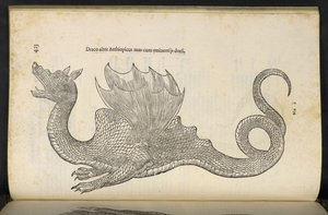 エチオピアのドラゴン「蛇とドラゴンの歴史の本 2」、ボローニャ、ウリッセ・アルドロヴァンディ作