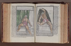 歴史からの女性の解剖学、解剖学のムンディーニへの最も寛大な追加、ジャコポベレンガルロダカルピ（c.1460-c.1530）、ボローニャ、1521年（カラーウッドブロックプリント）で出版