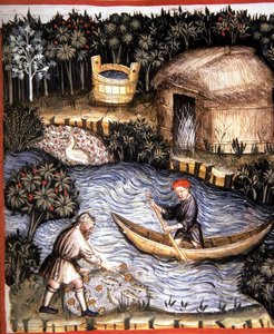Fol.82r 「Tacuinum Santiatis Codex Vindobonensis」の挿絵「新鮮な魚」（ベラム製） 作： Italian School