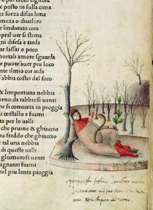フォル。 ペトラルカ作「カンゾニエール エ トリオンフィ」の 52r、1470 年頃 作： Italian School