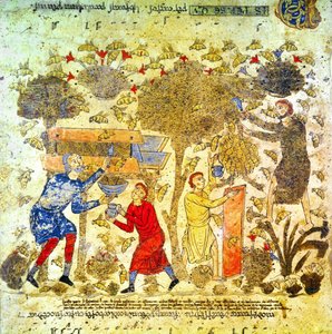 12世紀のイタリアでの蜂蜜の収穫 作： Italian School