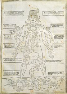 「Fassiculus Medicinae」ベニスのイラスト 作： Italian School