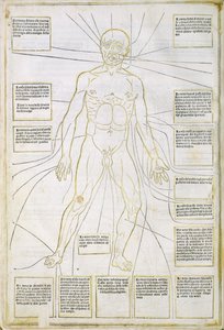 「Fassiculus Medicinae」ベニスのイラスト 作： Italian School