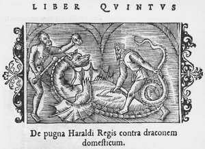 1555年にローマで出版されたオラウスマグナス（1490-1558）による北方民族の歴史からのドラゴンと戦うハラルド王 作： Italian School
