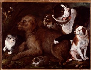 メディチ家の犬、イタリアの学校の猫とウサギ 作： Italian School