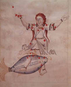 Ms.1036 アル＝スーフィ（西暦903年～1986年）のラテン語訳「Liber de stellis fixarum」より魚座（ベラム製） 作： Italian School