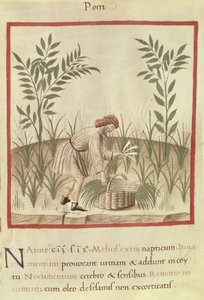Ms 3054 f.22 