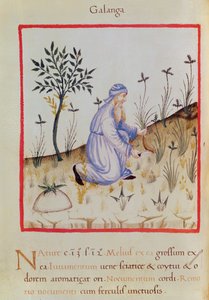 Ms 3054 f.22 