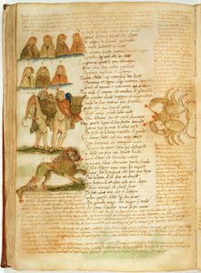 Ms Ital 483 P.4.7 f.156v Fazio degli Uberti (vellum) の「Dittamondo」からのジェミニ、レオ、ガン 作： Italian School
