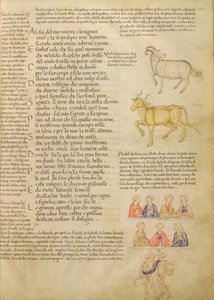 Ms Italien 87 fol.171 「De Civitation Dei, San Agostino」の星座を示すページ (ベラム) 作： Italian School