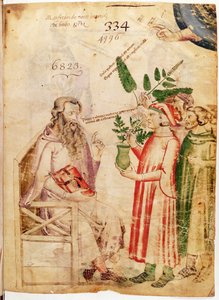MS 6823 fol.1モンテインペリアルのマンフレッドによるハーブから、未知の男性に植物を贈る女性 作： Italian School