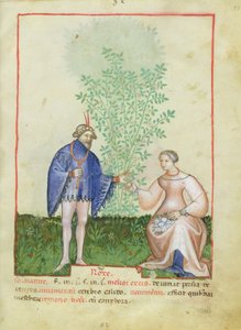 Nouy Acq Lat 1673 fol.83ローズ、健康なTacuinum、c.1390-1400 作： Italian School