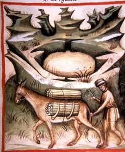 Nova 2644 fol.90r 「Tacuinum Sanitatis」より「雪と氷」（ベラム製） 作： Italian School