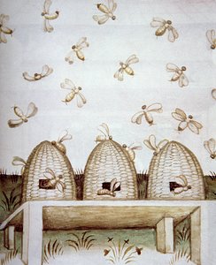 新しい2644 fol.94v蜂の巣、健康なTacuinumから 作： Italian School